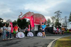 BIB: 
                            <button type="button" onclick="openModal(26529367)" class="btn btn-primary btn-sm float-right btn-popup" data-toggle="modal" data-target=".modal-high-quality">
                        <i class="fas fa-shopping-cart"></i> Add to Cart
                    </button>
                                            <button type="button" onclick="isThisMe(26529367, true)" class="btn btn-success btn-sm float-right btn-popup btn-isme hidden" data-toggle="tooltip" data-placement="bottom" title="นี่คือรูปของคุณใช่ไหม คลิกที่นี่เพื่อเอาเข้าอัลบั้ม">
                        <i class="fas fa-plus"></i> Add to album
                    </button>
                    <button type="button" onclick="isThisMe(26529367, false)" class="btn btn-warning btn-sm float-right btn-popup btn-isnotme hidden">
                        <i class="fas fa-ban"></i> Remove from album
                    </button>